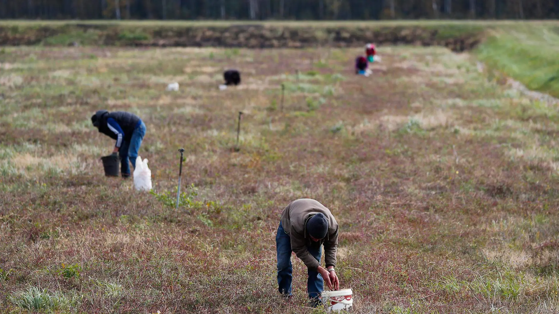 0710 TRABAJADORES AGRICOLAS_REUTERS